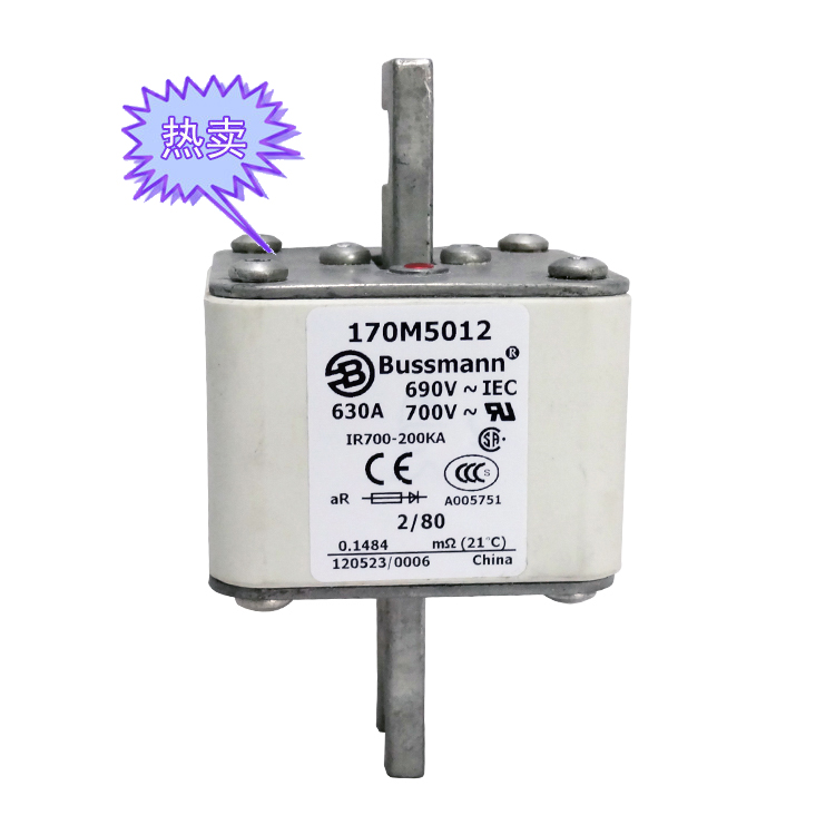 快速熔斷器170M5012（630A）